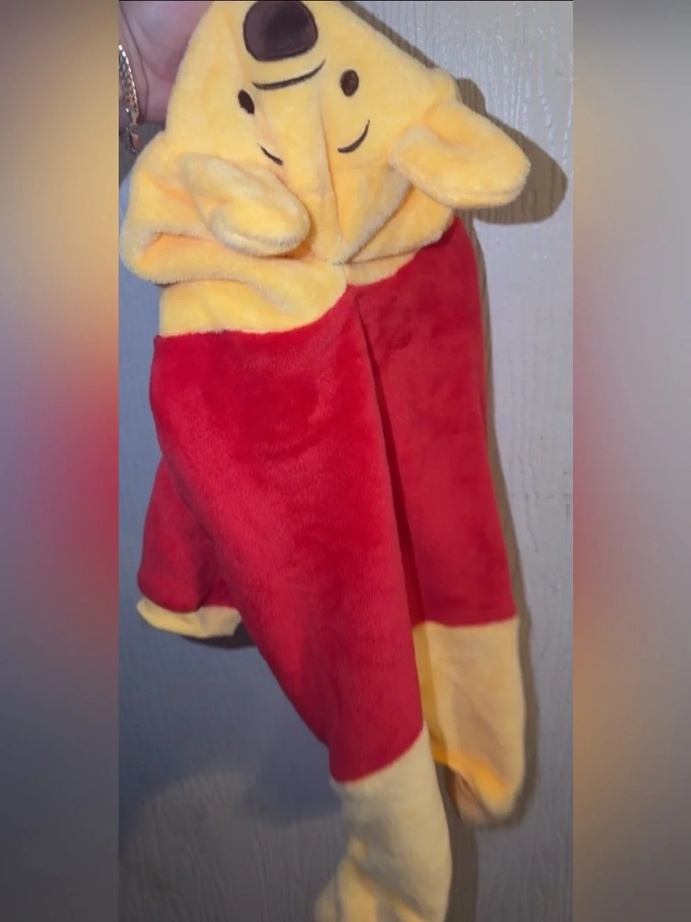 Dog Disney costume Winnie the Pooh